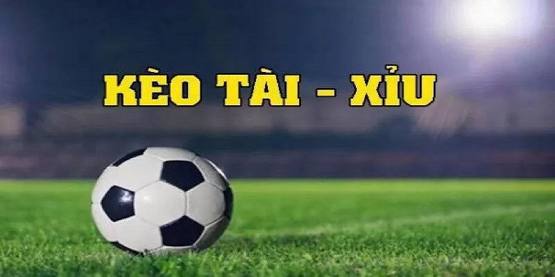 Kèo Tài Xỉu Là Gì? Cách Đọc Kèo Chuẩn Không Cần Chỉnh